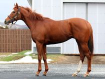 ����å��ǳ��������ɽ�����ޤ�