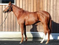 ����å��ǳ��������ɽ�����ޤ�