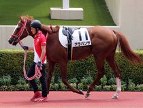 ����å��ǳ��������ɽ�����ޤ�