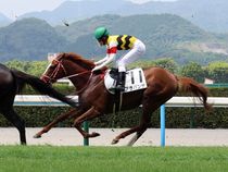 ����å��ǳ��������ɽ�����ޤ�