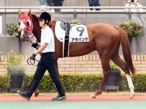 ����å��ǳ��������ɽ�����ޤ�