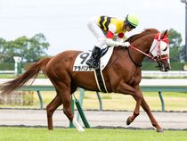 ����å��ǳ��������ɽ�����ޤ�