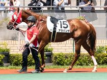 ����å��ǳ��������ɽ�����ޤ�