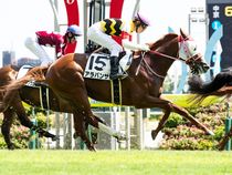 ����å��ǳ��������ɽ�����ޤ�