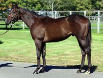 ����å��ǳ��������ɽ�����ޤ�