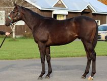 ����å��ǳ��������ɽ�����ޤ�