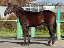 ����å��ǳ��������ɽ�����ޤ�