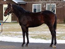 ����å��ǳ��������ɽ�����ޤ�