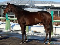 ����å��ǳ��������ɽ�����ޤ�