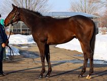 ����å��ǳ��������ɽ�����ޤ�