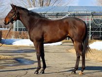 ����å��ǳ��������ɽ�����ޤ�