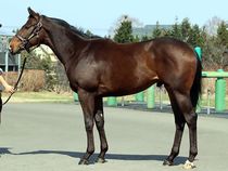 ����å��ǳ��������ɽ�����ޤ�