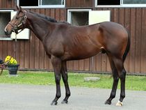 ����å��ǳ��������ɽ�����ޤ�