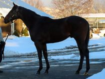 ����å��ǳ��������ɽ�����ޤ�