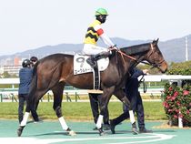 ����å��ǳ��������ɽ�����ޤ�