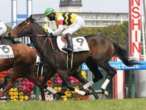 ����å��ǳ��������ɽ�����ޤ�