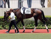 ����å��ǳ��������ɽ�����ޤ�