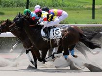 ����å��ǳ��������ɽ�����ޤ�