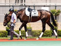 ����å��ǳ��������ɽ�����ޤ�