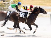 ����å��ǳ��������ɽ�����ޤ�