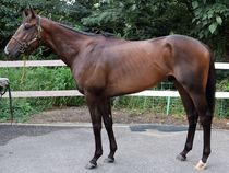 ����å��ǳ��������ɽ�����ޤ�