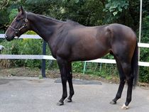 ����å��ǳ��������ɽ�����ޤ�