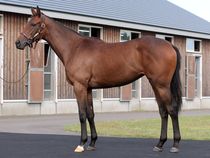 ����å��ǳ��������ɽ�����ޤ�