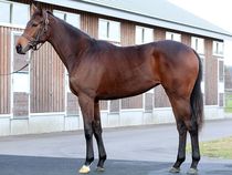 ����å��ǳ��������ɽ�����ޤ�