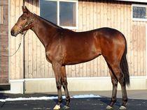 ����å��ǳ��������ɽ�����ޤ�