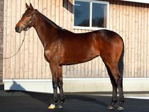 ����å��ǳ��������ɽ�����ޤ�