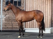 ����å��ǳ��������ɽ�����ޤ�