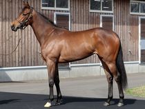 ����å��ǳ��������ɽ�����ޤ�