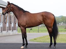 ����å��ǳ��������ɽ�����ޤ�