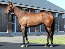 ����å��ǳ��������ɽ�����ޤ�