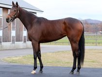 ����å��ǳ��������ɽ�����ޤ�