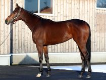 ����å��ǳ��������ɽ�����ޤ�