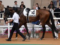 ����å��ǳ��������ɽ�����ޤ�