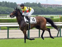 ����å��ǳ��������ɽ�����ޤ�