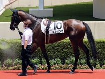 ����å��ǳ��������ɽ�����ޤ�