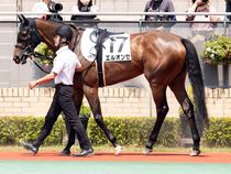 ����å��ǳ��������ɽ�����ޤ�