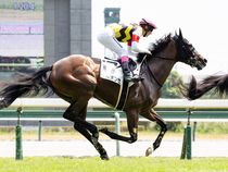 ����å��ǳ��������ɽ�����ޤ�