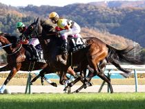 ����å��ǳ��������ɽ�����ޤ�