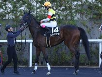 ����å��ǳ��������ɽ�����ޤ�