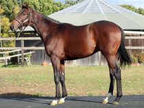 ����å��ǳ��������ɽ�����ޤ�