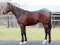 ����å��ǳ��������ɽ�����ޤ�