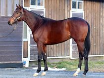 ����å��ǳ��������ɽ�����ޤ�