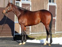 ����å��ǳ��������ɽ�����ޤ�