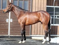 ����å��ǳ��������ɽ�����ޤ�