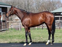 ����å��ǳ��������ɽ�����ޤ�