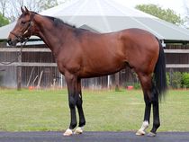 ����å��ǳ��������ɽ�����ޤ�